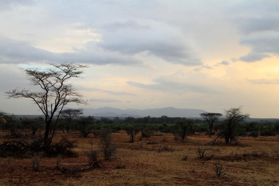 En la parte central de Kenya